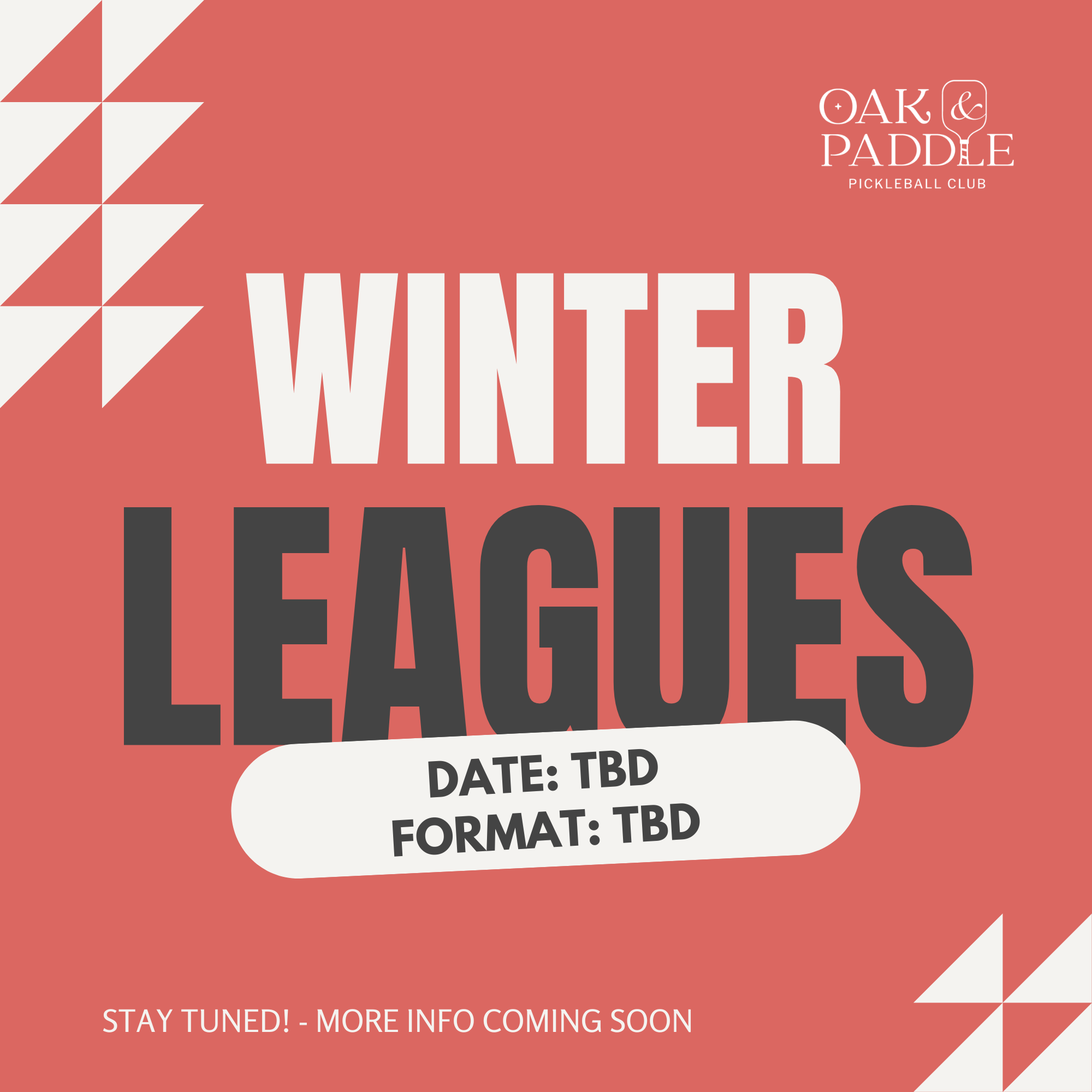 Winter Leagues